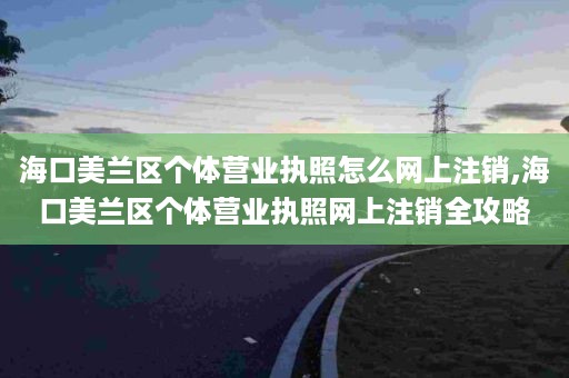 海口美兰区个体营业执照怎么网上注销,海口美兰区个体营业执照网上注销全攻略
