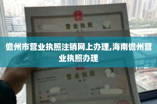 儋州市营业执照注销网上办理,海南儋州营业执照办理