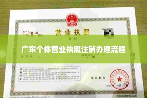 广东个体营业执照注销办理流程
