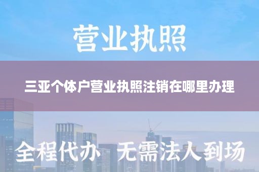 三亚个体户营业执照注销在哪里办理