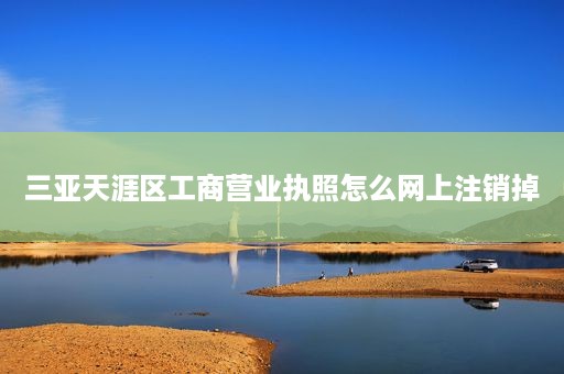 三亚天涯区工商营业执照怎么网上注销掉