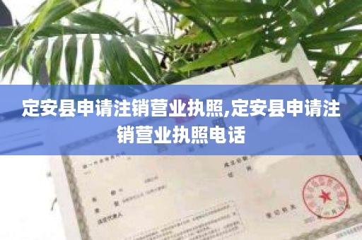 定安县申请注销营业执照,定安县申请注销营业执照电话
