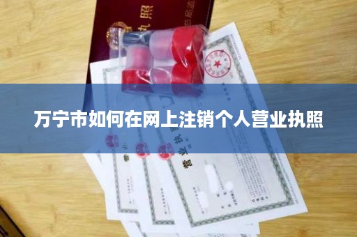 万宁市如何在网上注销个人营业执照