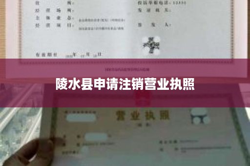 陵水县申请注销营业执照