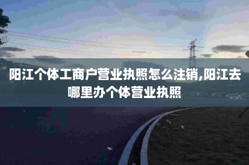 阳江个体工商户营业执照怎么注销,阳江去哪里办个体营业执照