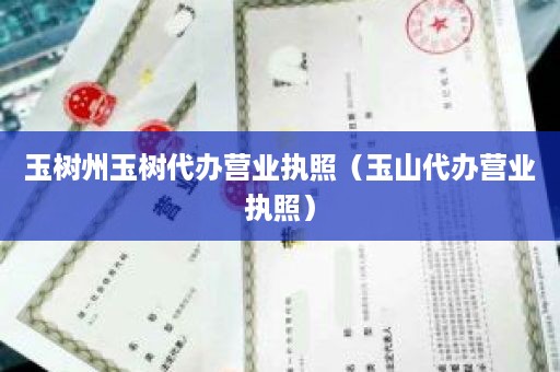 玉树州玉树代办营业执照（玉山代办营业执照）