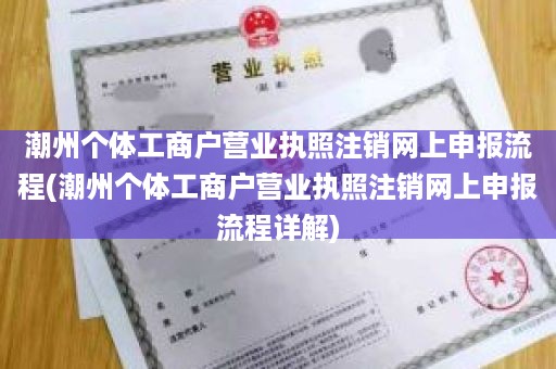 潮州个体工商户营业执照注销网上申报流程(潮州个体工商户营业执照注销网上申报流程详解)