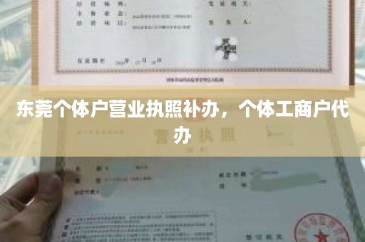 东莞个体户营业执照补办，个体工商户代办