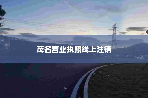 茂名营业执照线上注销