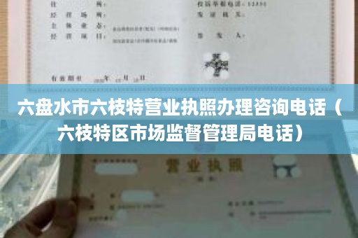 六盘水市六枝特营业执照办理咨询电话（六枝特区市场监督管理局电话）