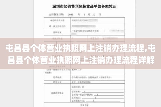 屯昌县个体营业执照网上注销办理流程,屯昌县个体营业执照网上注销办理流程详解