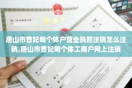 唐山市曹妃甸个体户营业执照注销怎么注销,唐山市曹妃甸个体工商户网上注销