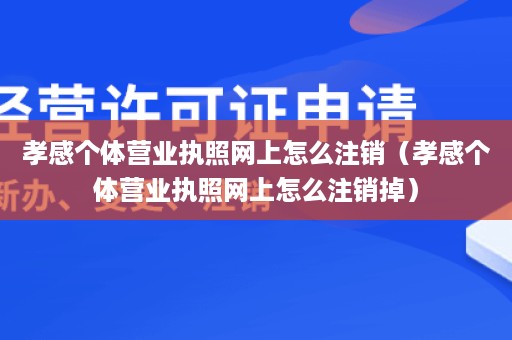 孝感个体营业执照网上怎么注销（孝感个体营业执照网上怎么注销掉）