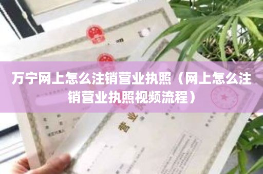 万宁网上怎么注销营业执照（网上怎么注销营业执照视频流程）