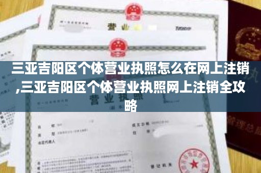 三亚吉阳区个体营业执照怎么在网上注销,三亚吉阳区个体营业执照网上注销全攻略
