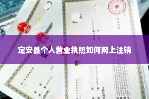 定安县个人营业执照如何网上注销