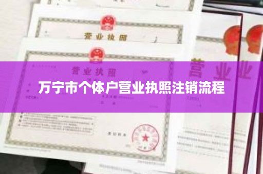 万宁市个体户营业执照注销流程