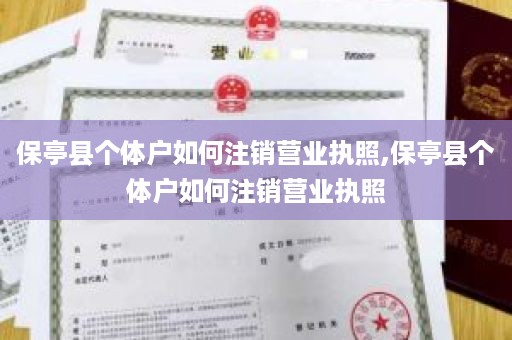 保亭县个体户如何注销营业执照,保亭县个体户如何注销营业执照