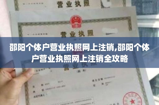 邵阳个体户营业执照网上注销,邵阳个体户营业执照网上注销全攻略