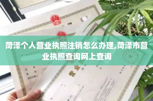 菏泽个人营业执照注销怎么办理,菏泽市营业执照查询网上查询