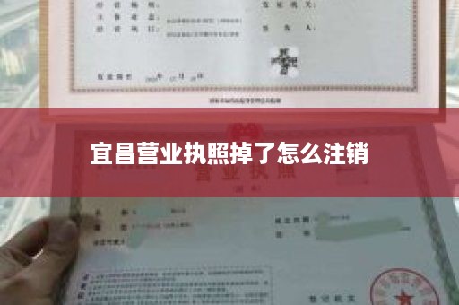 宜昌营业执照掉了怎么注销