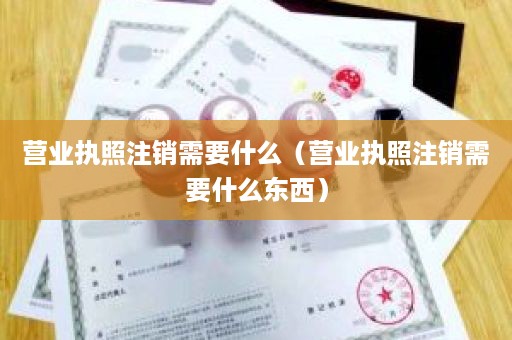营业执照注销需要什么（营业执照注销需要什么东西）