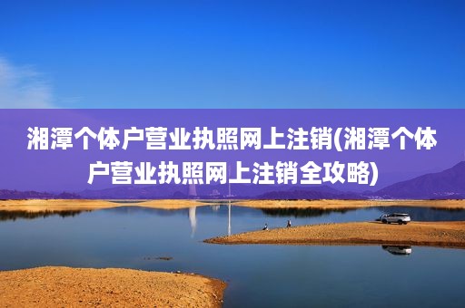 湘潭个体户营业执照网上注销(湘潭个体户营业执照网上注销全攻略)