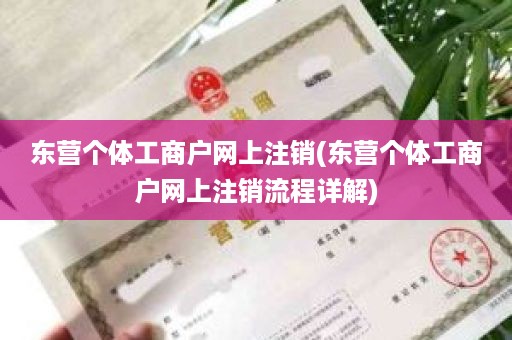 东营个体工商户网上注销(东营个体工商户网上注销流程详解)