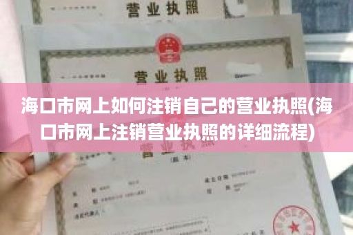 海口市网上如何注销自己的营业执照(海口市网上注销营业执照的详细流程)