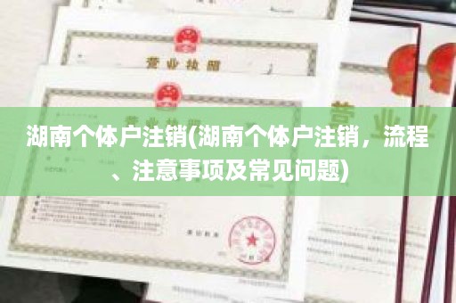 湖南个体户注销(湖南个体户注销，流程、注意事项及常见问题)