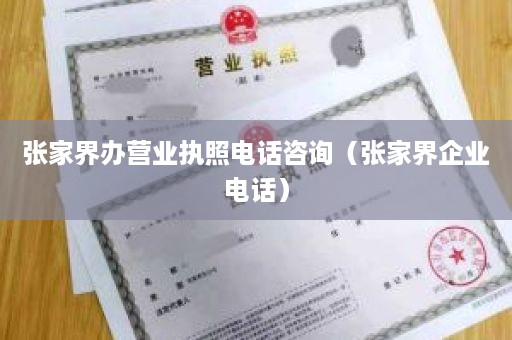 张家界办营业执照电话咨询（张家界企业电话）