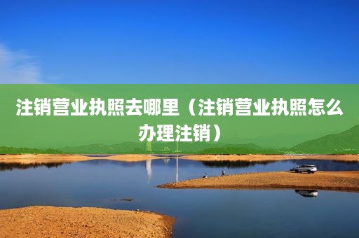 注销营业执照去哪里（注销营业执照怎么办理注销）