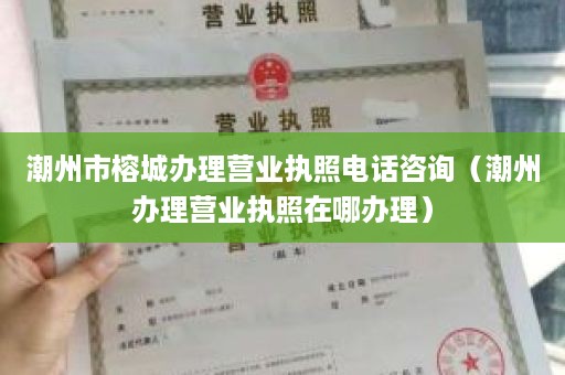潮州市榕城办理营业执照电话咨询（潮州办理营业执照在哪办理）