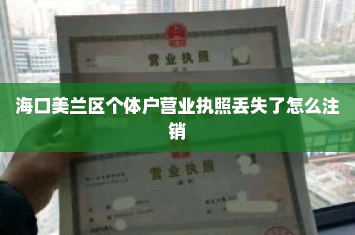 海口美兰区个体户营业执照丢失了怎么注销