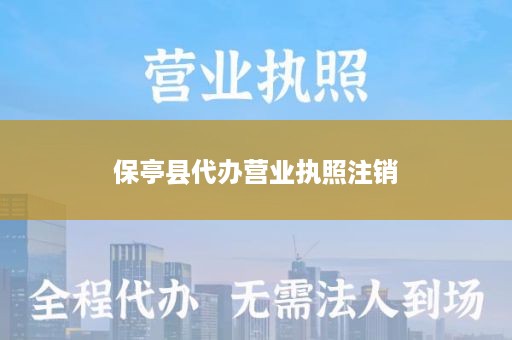保亭县代办营业执照注销