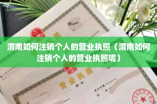 渭南如何注销个人的营业执照（渭南如何注销个人的营业执照呢）