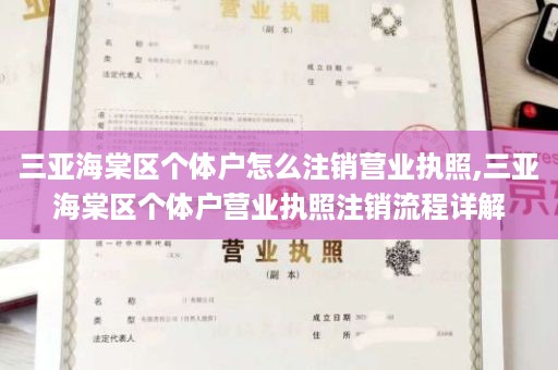 三亚海棠区个体户怎么注销营业执照,三亚海棠区个体户营业执照注销流程详解