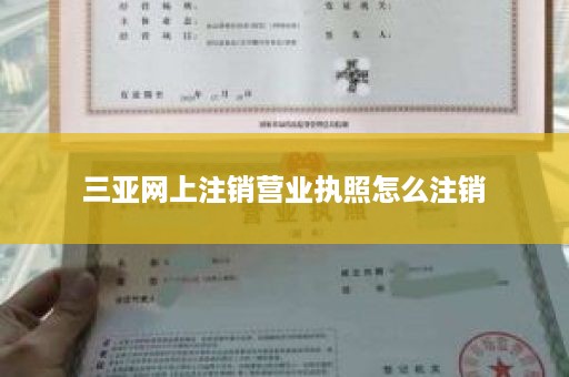 三亚网上注销营业执照怎么注销