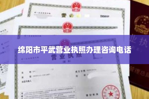 绵阳市平武营业执照办理咨询电话