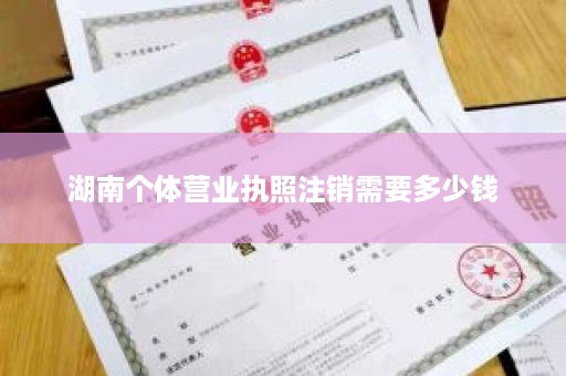 湖南个体营业执照注销需要多少钱