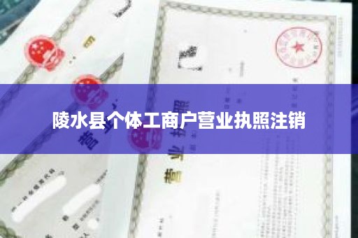 陵水县个体工商户营业执照注销