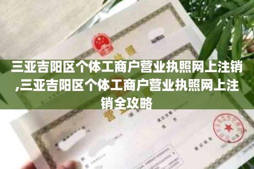 三亚吉阳区个体工商户营业执照网上注销,三亚吉阳区个体工商户营业执照网上注销全攻略