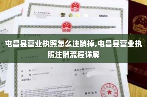 屯昌县营业执照怎么注销掉,屯昌县营业执照注销流程详解