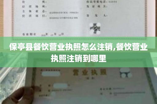 保亭县餐饮营业执照怎么注销,餐饮营业执照注销到哪里
