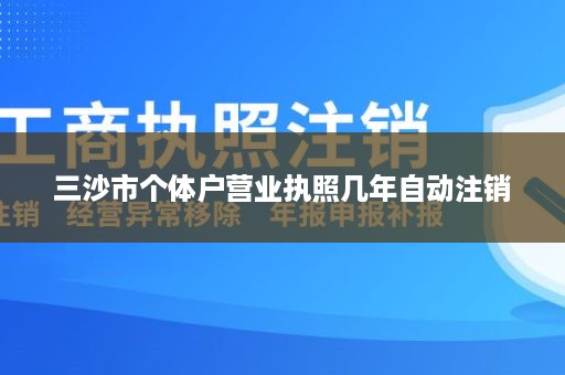 三沙市个体户营业执照几年自动注销