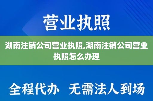 湖南注销公司营业执照,湖南注销公司营业执照怎么办理