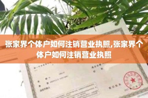 张家界个体户如何注销营业执照,张家界个体户如何注销营业执照