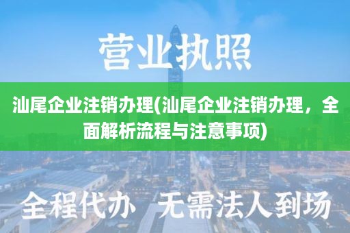 汕尾企业注销办理(汕尾企业注销办理，全面解析流程与注意事项)