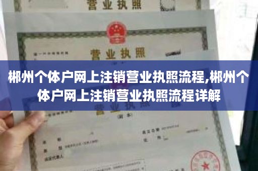 郴州个体户网上注销营业执照流程,郴州个体户网上注销营业执照流程详解