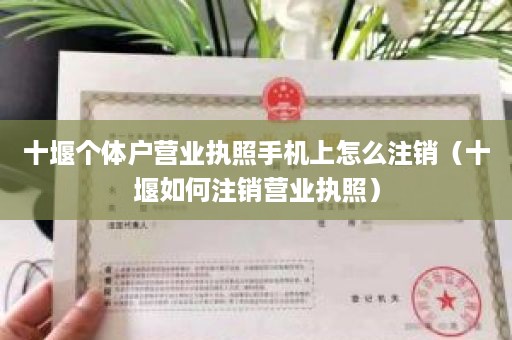 十堰个体户营业执照手机上怎么注销（十堰如何注销营业执照）